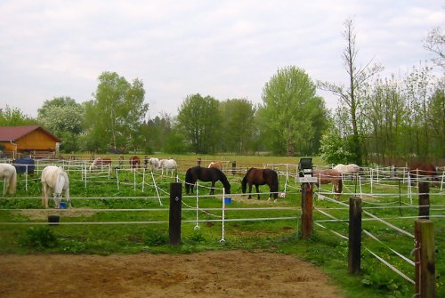 Reitferien in Deutschland / Bayern / Schrobenhausen / Paartal Reitferien in Deutschland / Bayern / Schrobenhausen / Paartal