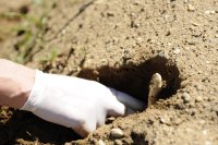 Spargeln Sie mit uns Spargeln Sie mit uns